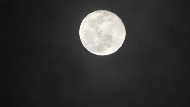 Luna Llena Noche Nublada Oscura Nubes Que Pasan Por Luna — Vídeos de Stock