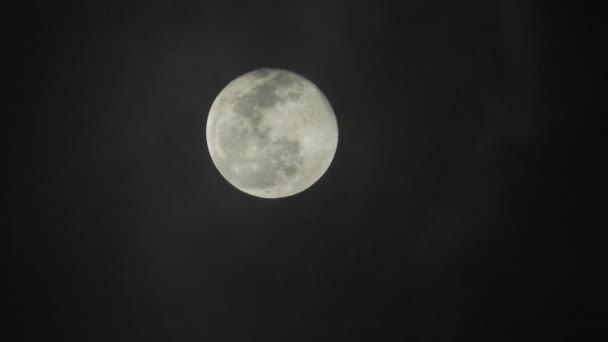 Volle Maan Donkere Bewolkte Nacht Wolken Passeren Maan Real Time — Stockvideo