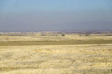  Sonbahar bozkırları. Sarı çimenler. Manzara. Mavi gökyüzünün altında 