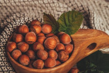 Yeşil yapraklı fındıklar ahşap kasede, kırsal kahverengi arka planda.. 