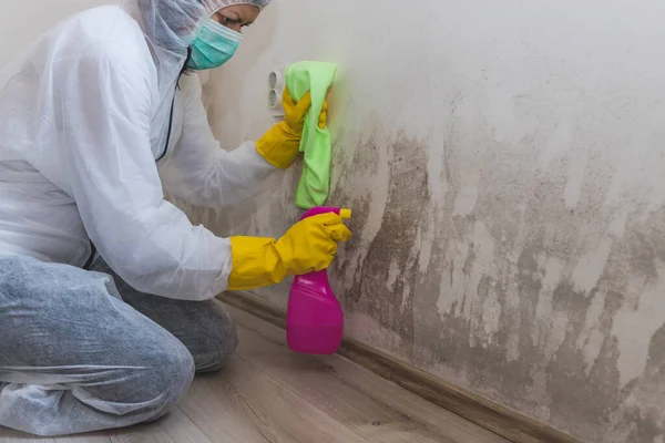 Großaufnahme Einer Reinigungskraft Entfernt Schimmel Von Der Wand Mit Sprühflasche — Stockfoto