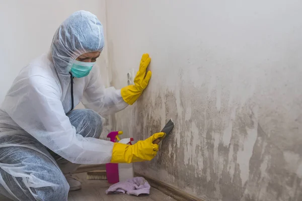 Female Worker Cleaning Service Removes Mold Wall Using Spray Bottle — Stock Photo, Image
