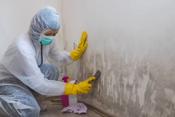 Lavoratrice Del Servizio Pulizia Rimuove Muffa Dalla Parete Utilizzando Una — Foto Stock