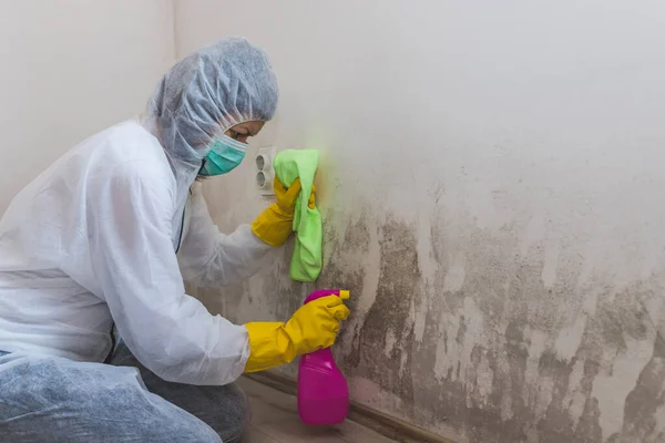 Female Worker Cleaning Service Removes Mold Wall Using Spray Bottle — Stock Photo, Image