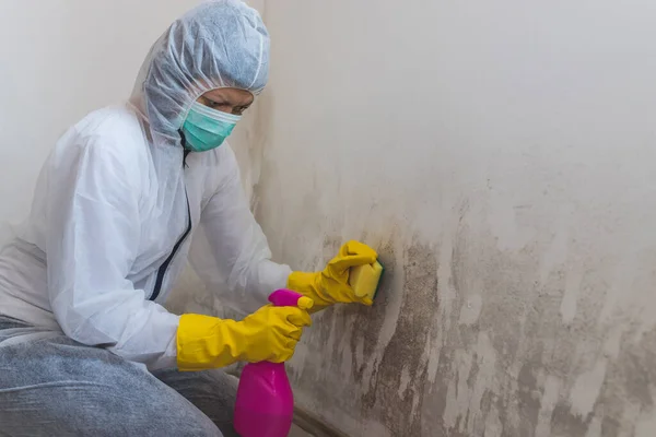Female Worker Cleaning Service Removes Mold Using Antimicrobial Spray Sponge — Stock Photo, Image