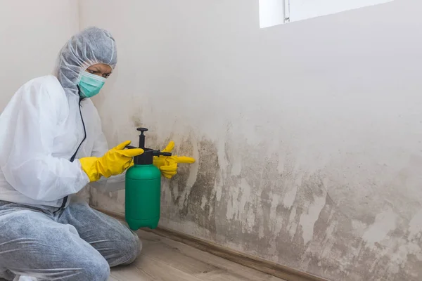 Lavoratrice Impresa Pulizia Rimuove Muffa Dalla Parete Utilizzando Bottiglia Spray — Foto Stock