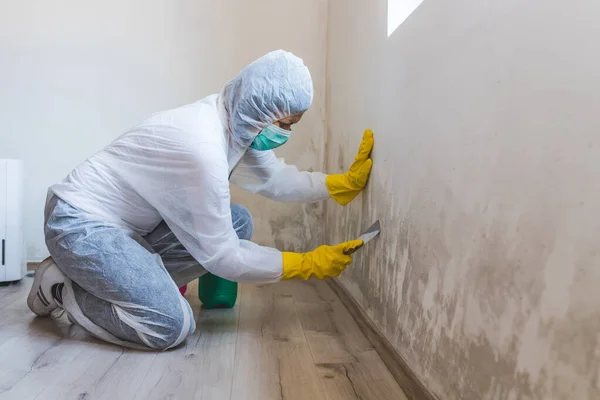 Female Worker Cleaning Service Removes Mold Using Scraper Tool — Stock Photo, Image