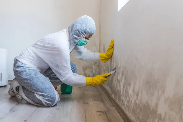 Femmina Lavoratore Del Servizio Pulizia Rimuove Stampo Utilizzando Strumento Raschietto — Foto Stock