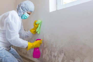 Temizlik işçisi bir kadına yaklaşmak küfü duvardan kaldırır. Küf temizleme kimyasalları ve küf temizleme ürünleri içeren sprey şişesi kullanır..