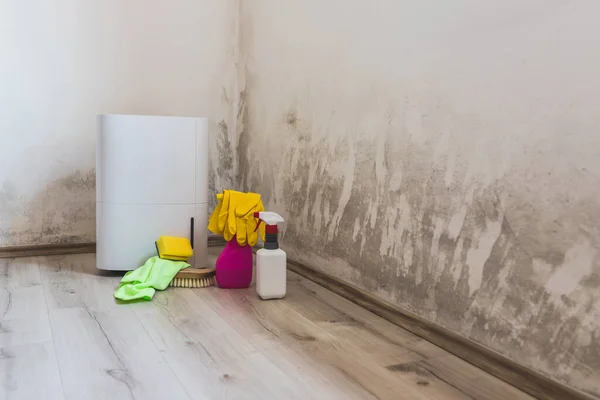 Black mold in the corner of room wall, dehumidifier and spray bottle with mildew removal products. Preparation for mold removal.