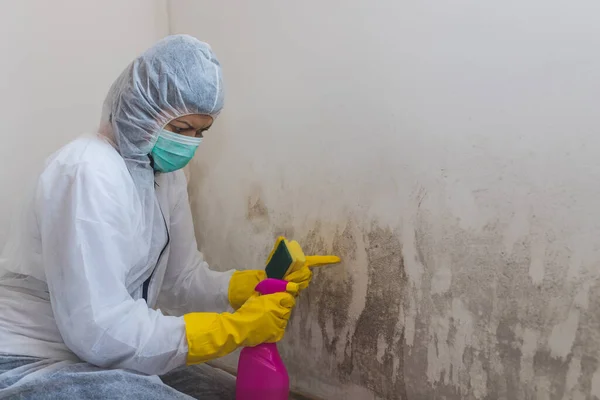 Close Female Worker Cleaning Service Removes Mold Wall Using Sponge — Stock Photo, Image