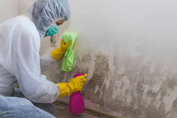 Close Female Worker Cleaning Service Removes Mold Wall Using Spray — Stock Photo, Image