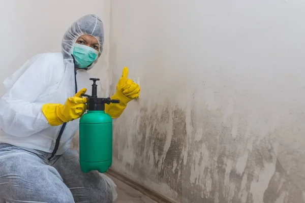 Close Female Worker Cleaning Service Removes Mold Wall Using Spray — Stock Photo, Image