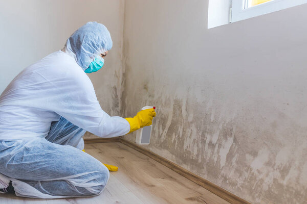 Female worker of cleaning service removes mold from wall using spray bottle with mold remediation chemicals, mold removal products