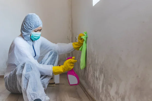 Female Worker Cleaning Service Removes Mold Wall Using Spray Bottle — Stock Photo, Image