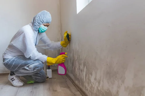 Temizlik işçisi kadın antimikrop spreyi ve sünger kullanarak kalıbı temizliyor.