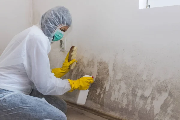 Femmina Operaia Servizio Pulizia Rimuove Stampo Utilizzando Bottiglia Spray Con — Foto Stock