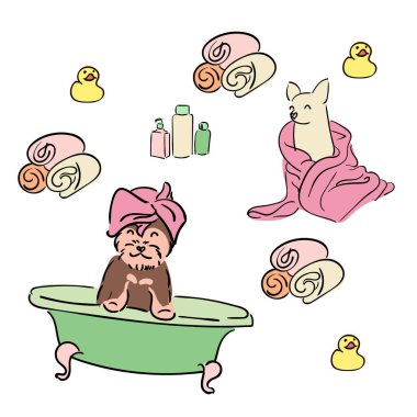 Köpekler için prosedürler. Güzel bir chihuahua cinsi köpek. Mutlu ve bakımlı bir köpek. Bakımlı köpekler, köpeğe göz kulak oluyorlar. Köpekler için makyaj malzemeleri.