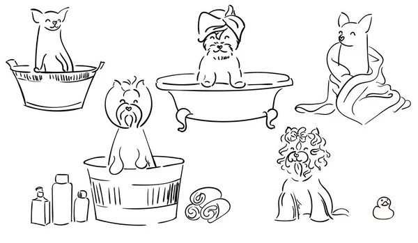 Illustrazione Bambini Cuccioli Bagno Cuccioli Bagno Fare Bagno Cani Toelettatura — Vettoriale Stock