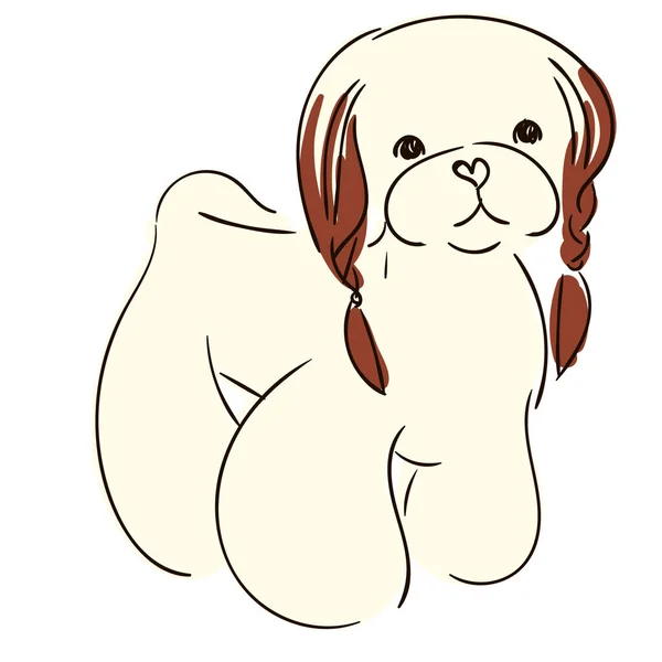 Illustrazione Bambini Cane Decorativo Razze Cagnolino Con Trecce Sulle Orecchie — Vettoriale Stock