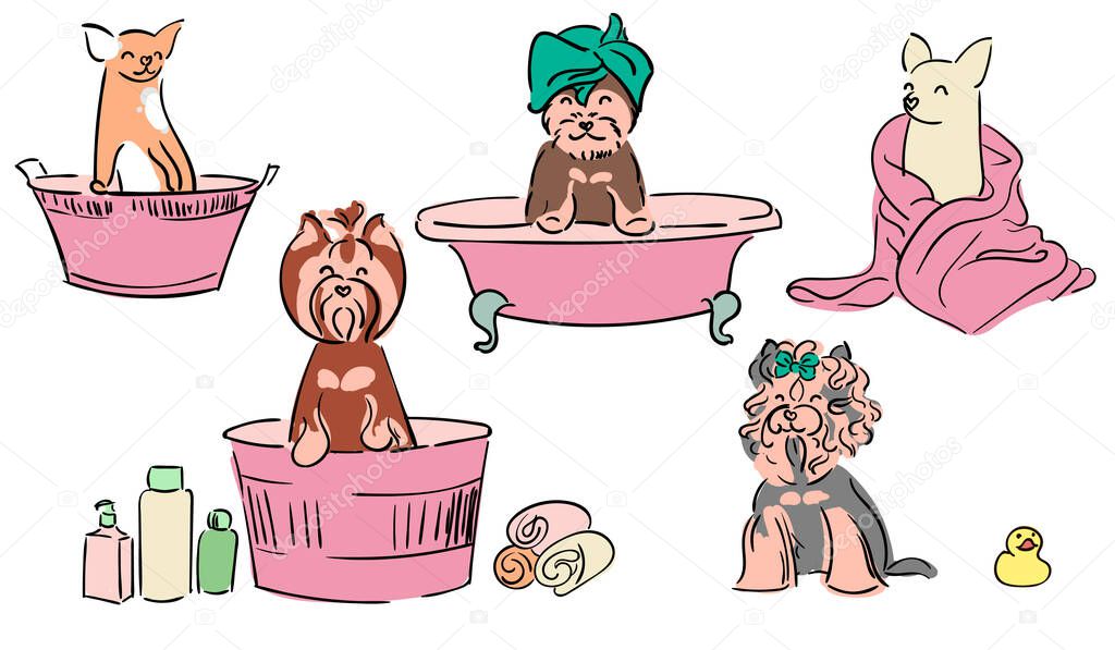 Illustration for children. Bathing puppies. Puppies in a bath for bathing. Grooming dogs and caring for their wool.