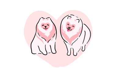 Sevgililer Günü için güzel bir illüstrasyon. Pomeranya köpek cinsinden bir çift sevimli köpek. Kocaman pembe bir kalbin arkasında şirin köpekler olan bir kartpostal. Bir çift tüylü pembe köpek..