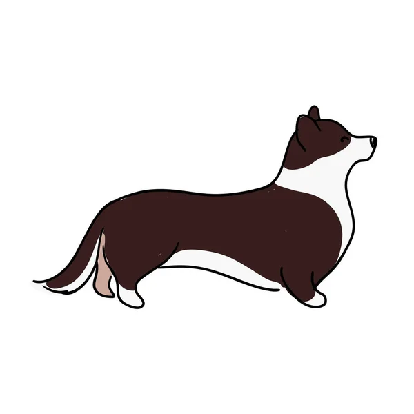 Illustration Children Lovely Ginger Furry Dog Breeds Welsh Corgi Decorative — Stock Vector