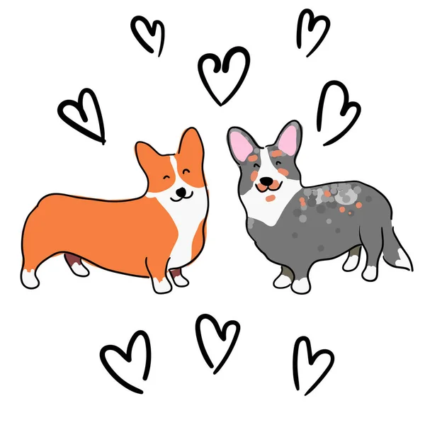 Illustratie Voor Kinderen Mooie Harige Hondjes Van Welsh Corgi Decoratieve — Stockvector