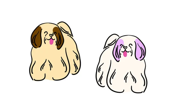 Ensemble Illustrations Chiens Beaux Animaux Chiens Petites Races Shih Tzu — Image vectorielle