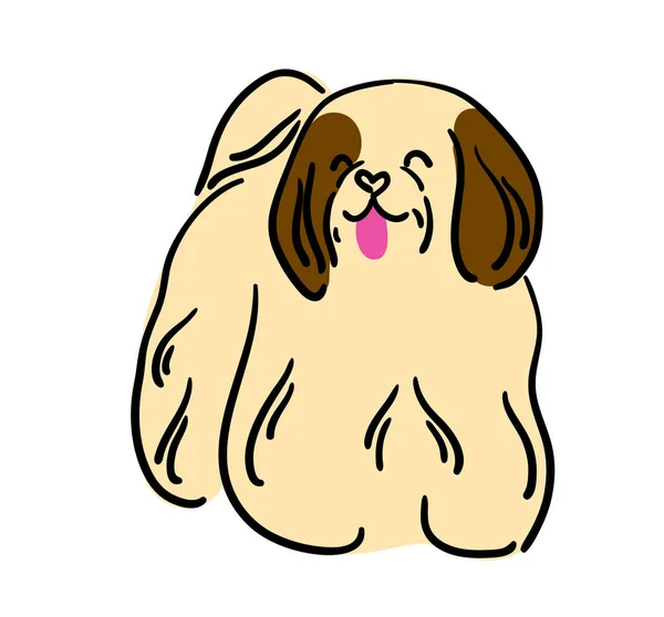 儿童的说明 波美拉尼亚品种的甜狗 照顾狗的毛 羊毛的颜色 罕见的狗色 — 图库矢量图片
