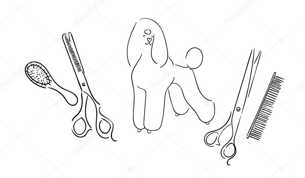  pattern of tools for grooming dogs and a large royal poodle. Scissors, clipper, brushes and comb. Thinning, straight and curved scissors. Illustration of lines and silhouettes.