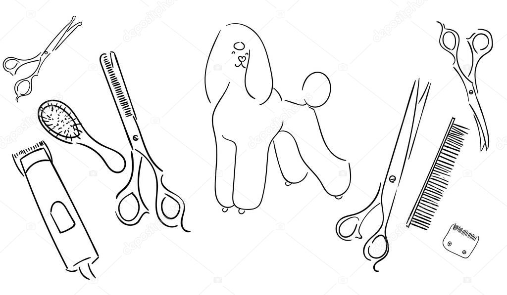  pattern of tools for grooming dogs and a large royal poodle. Scissors, clipper, brushes and comb. Thinning, straight and curved scissors. Illustration of lines and silhouettes.