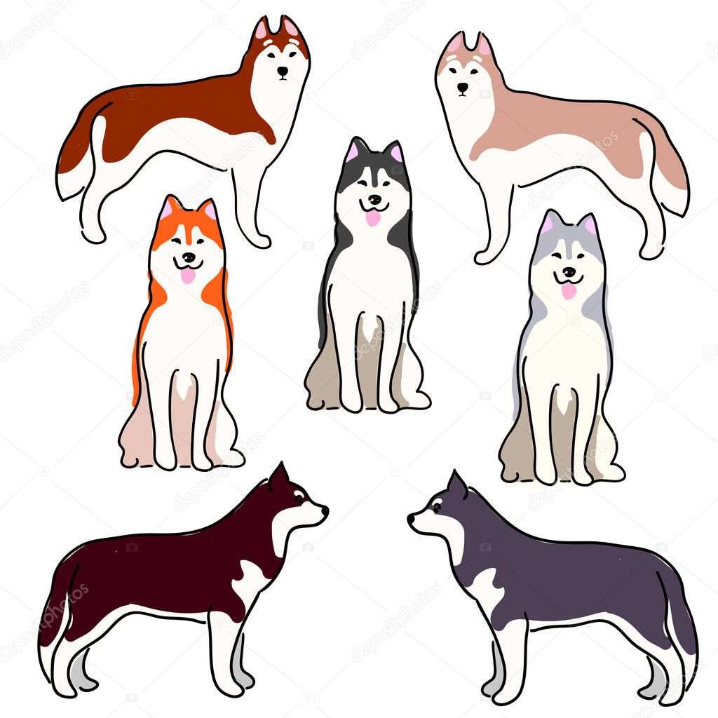 A set of illustrations of dogs. Dogs of Laika, Siberian Husky, Alaskan Malamute. Lovely illustration of sled dogs.