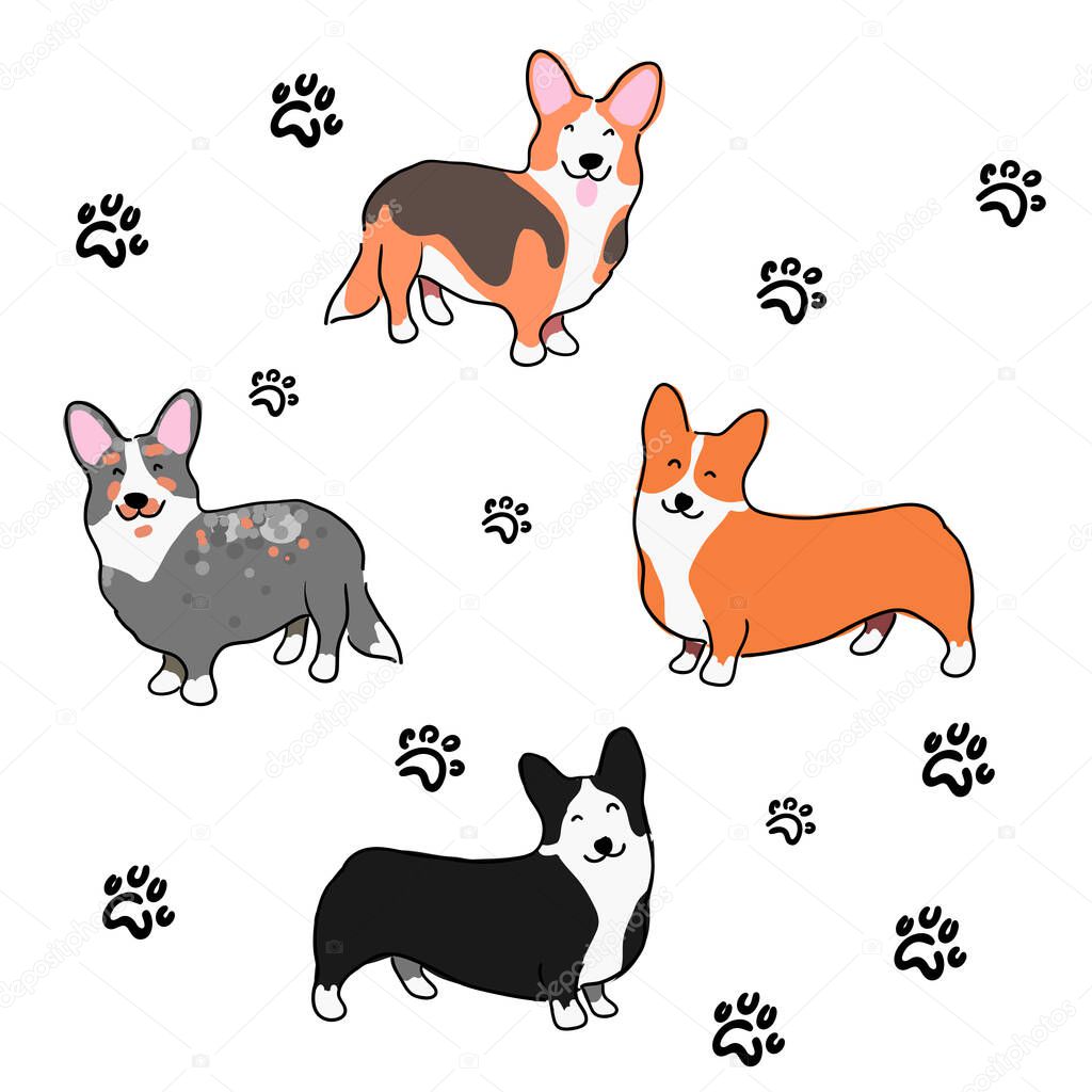 Illustration for children. Lovely furry doggies of welsh corgi. Decorative breeds of dogs. Pattern with welsh corgi and lovely prints of paws.