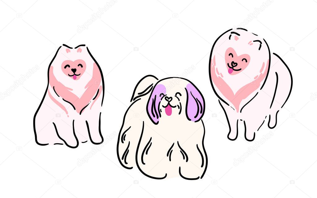 A set of illustrations of dogs. Lovely pets. Dogs of small breeds. Shih tzu, Pomeranian Pomeranian, Maltese lapdog and others. Dogs of unusual colors.