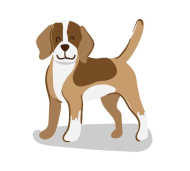 Şirin bir av köpeği, beyaz ve kahverengi kürklü küçük bir av köpeği, evcil bir hayvan, düz bir şekilde vektör çizimi. Köpek karakter tasarımı.