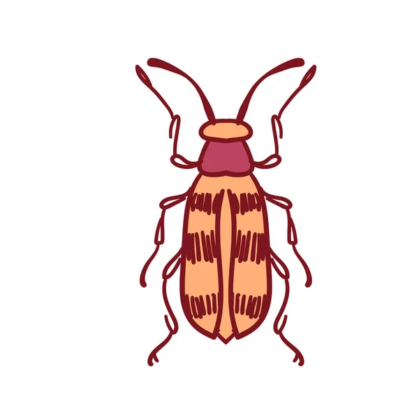 Käfer Insekten Modernes Symbol Symbol Und Illustration Glückliches Cartoon Insekt — Stockvektor