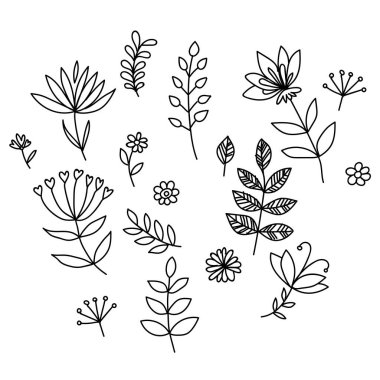 Vektör el çizimleri. Hipster grunge çizimleri. Yaprakları, dalları, çiçekleri olan izole bir boho çiçeği çizimi. Hoş bir doku. Projen için mükemmel, düğün, ambalaj.