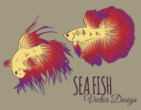 Diseño Tarjeta Vectorial Con Peces Betta Splendens Dibujados Mano Peces — Archivo Imágenes Vectoriales