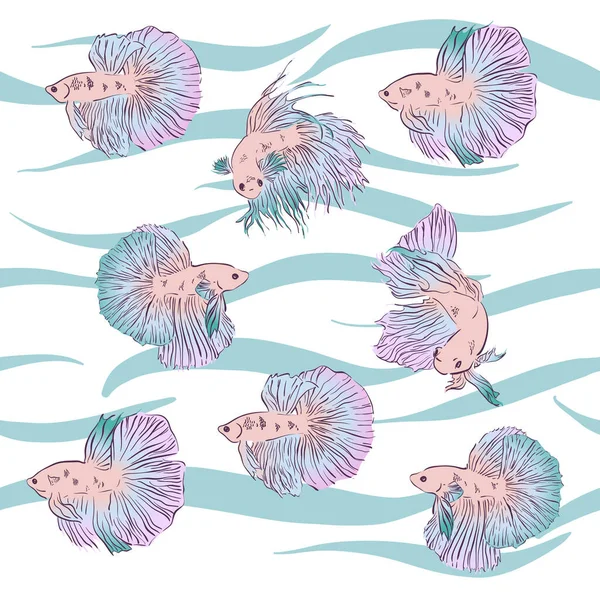 Diseño Tarjeta Vectorial Con Peces Betta Splendens Dibujados Mano Peces — Archivo Imágenes Vectoriales