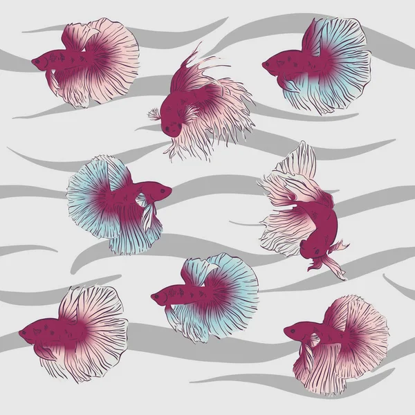 Vektorkartendesign Mit Handgezeichneter Beta Splendens Fish Siames Fighting Fish Vektorillustration — Stockvektor