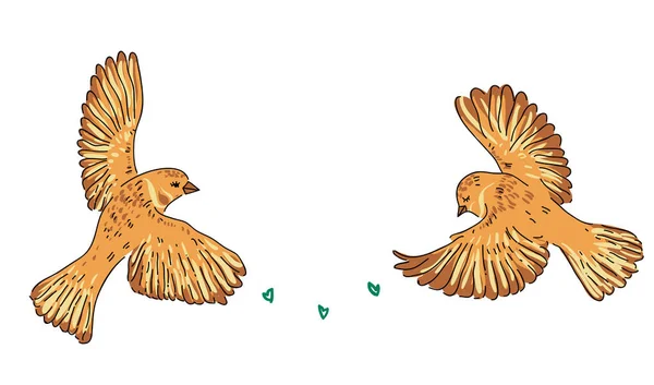 Disegno Mano Senza Soluzione Continuità Uccelli Fiori Foglia Ramo Isolato — Vettoriale Stock