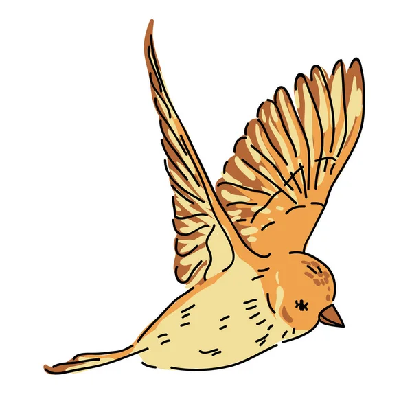 Patrón Sin Costura Dibujado Mano Pájaro Flor Hoja Rama Aislado — Archivo Imágenes Vectoriales