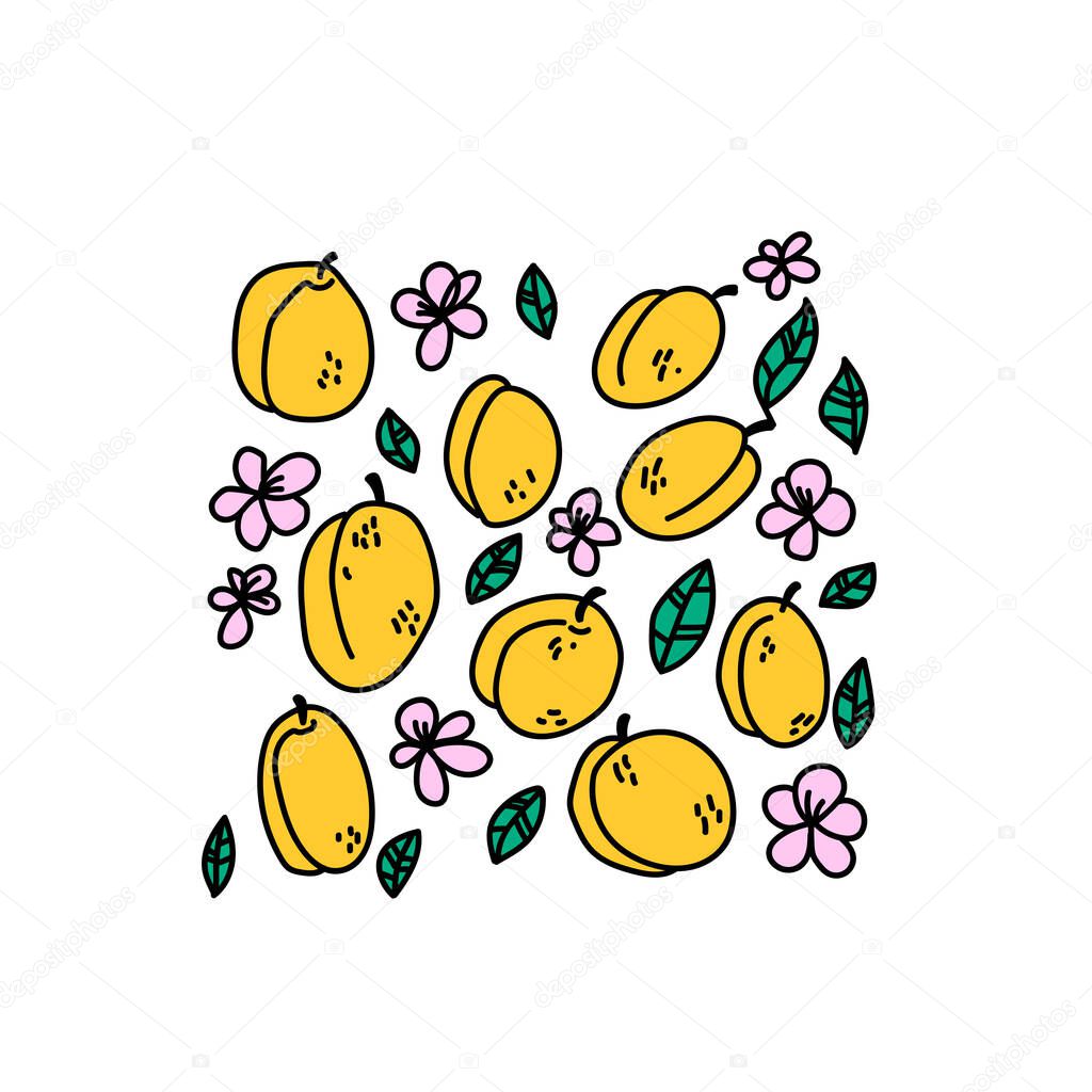 Apricot mood. Set of fruit doodle design elements. Hand drawn decoration collection. Apricots, flowers and leaves. Summer background. Vector image, clipart, editable details.
