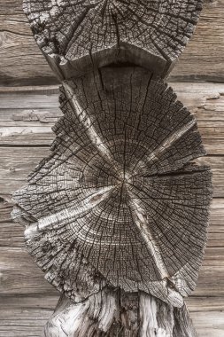 Doku eski ağaç yıpranmış yakın - açık havada yukarı. Günlükleri ve panoları. 