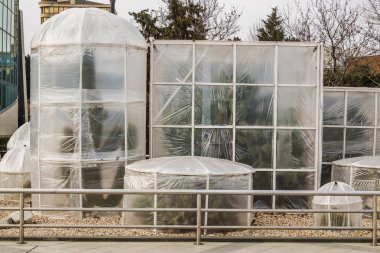 Measures to protect heat-loving plants in winter. Device greenhouses made of polyethylene to protect the cacti from the cold wind. Baku, Azerbaijan clipart