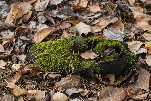 Çürümüş eski bir asker botunun tabanı çivili. Ormanda terk edilmiş eski günlerde..