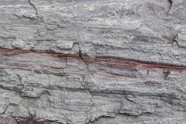 Dünya yüzeyinde tortul kaya katmanları oluştu.. 