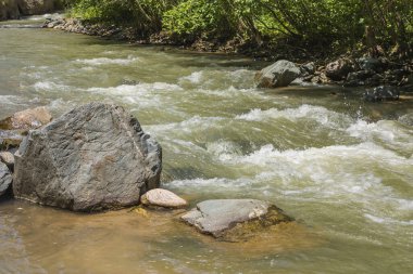 Ormandaki ve dağlardaki dağ nehri. Yazın güzel doğal manzara. Kabardino-Balkar Cumhuriyeti 'ndeki Ulusal Park. Rusya Federasyonu.