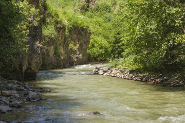 Ormandaki ve dağlardaki dağ nehri. Yazın güzel doğal manzara. Kabardino-Balkar Cumhuriyeti 'ndeki Ulusal Park. Rusya Federasyonu.